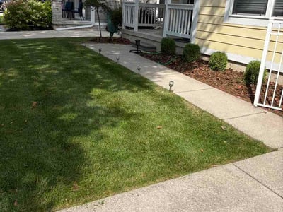 Lawn Care service in Waterford, 48329