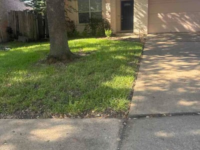 Lawn Care service in Missouri City, 77459