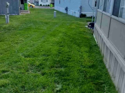 Lawn Care service in Waterford, 48329