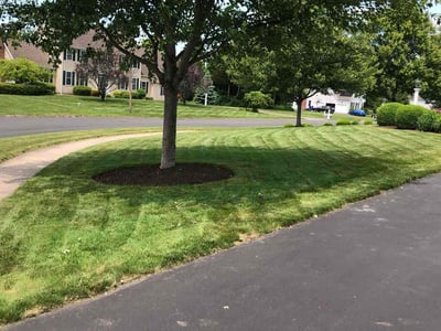 Lawn Care service in Southington, 06489