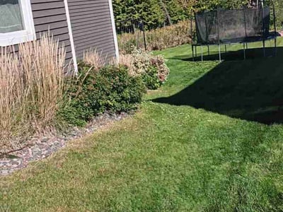 Lawn Care service in Anoka, 55303