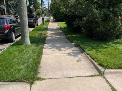 Lawn Care service in Grosse Pointe, 48230