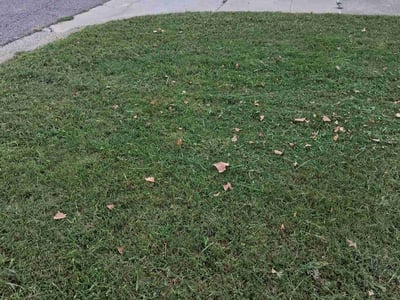 Lawn Care service in Mustang, 73064