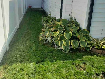 Lawn Care service in Ferndale, 48220