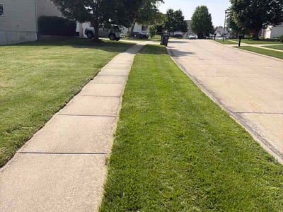 Lawn Care service in Roeland Park, 65401