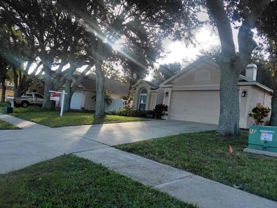 Lawn Care service in Palm Harbor, 34683