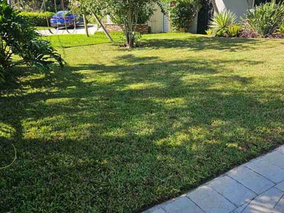 Lawn Care service in Sunrise, 33322