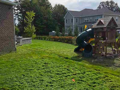 Lawn Care service in Wyandotte, 48192