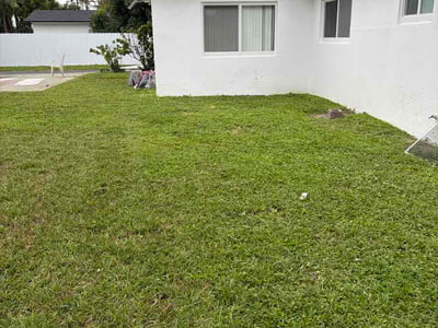 Lawn Care service in Hollywood, 33020