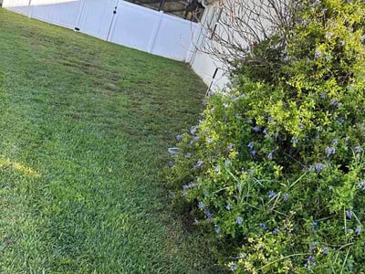 Lawn Care service in Apopka, 32712