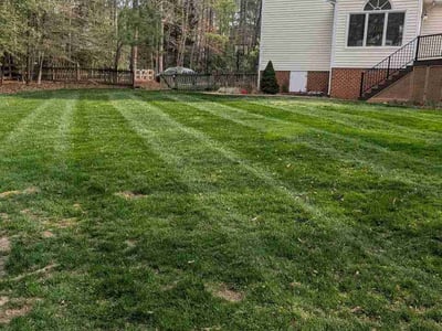 Lawn Care service in Chesterfield, 23832