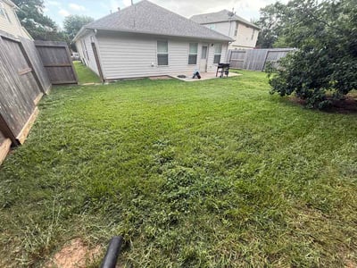 Lawn Care service in Willis, 77378