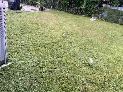 Lawn Care service in Hialeah, 33013