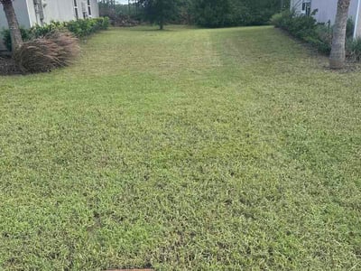 Lawn Care service in Fernandina Beach, 32034