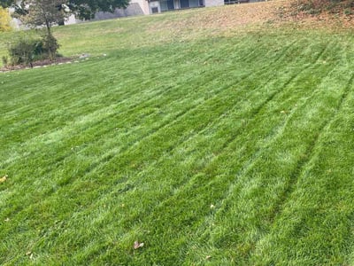 Lawn Care service in Northville, 48167