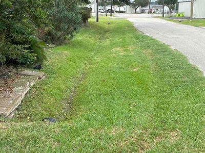 Lawn Care service in La Porte, 77571