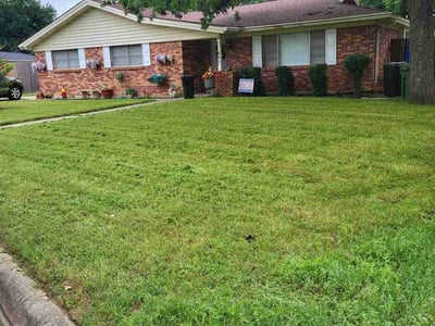 Lawn Care service in Hurst, 76053