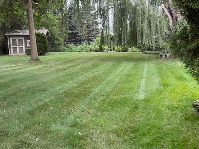 Lawn Care service in Harrison Township, 48045