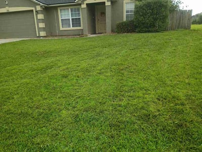 Lawn Care service in Miramar, 33025