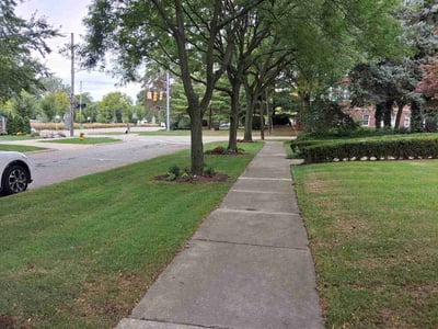 Lawn Care service in Howell, 48843