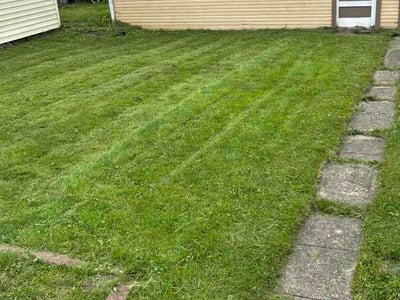 Lawn Care service in Richfield, 55423