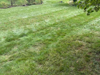 Lawn Care service in Logan, 43138