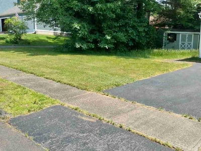 Lawn Care service in Bristol, 06010