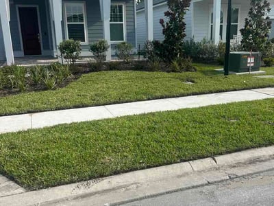 Lawn Care service in Deerfield Beach, 33441