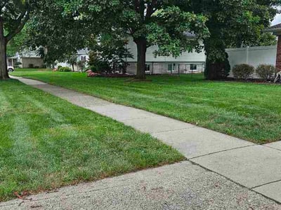 Lawn Care service in Plymouth, 48170