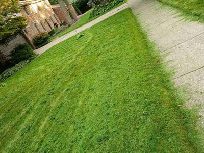Lawn Care service in Plymouth, 48170