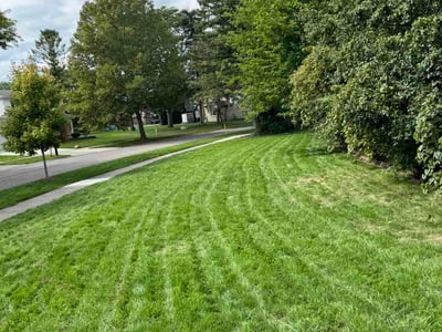 Lawn Care service in Troy, 48098