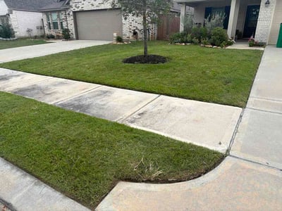 Lawn Care service in Alvin, 77511