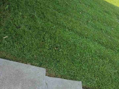 Lawn Care service in White Settlement, 76108