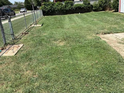 Lawn Care service in Branford, 06405