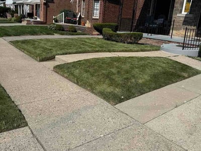 Lawn Care service in Dearborn, 48126