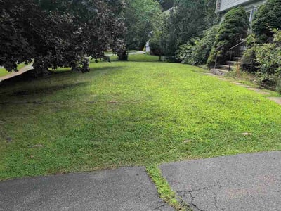 Lawn Care service in Vernon Rockville, 06066