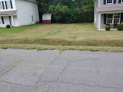 Lawn Care service in Vernon Rockville, 06066