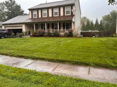 Lawn Care service in Chantilly, 20151