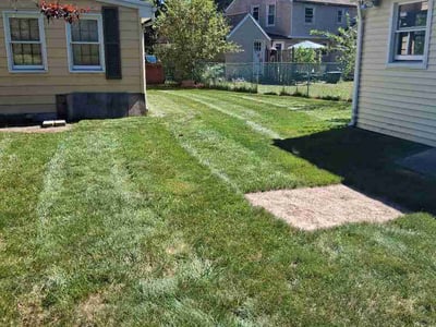 Lawn Care service in West Springfield, 01089