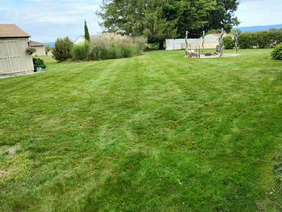 Lawn Care service in West Springfield, 01089