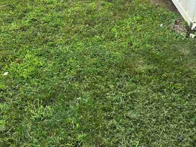 Lawn Care service in Millbury, 01527