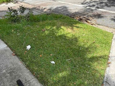 Lawn Care service in Maitland, 32751