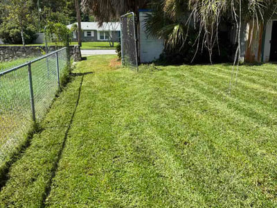 Lawn Care service in Maitland, 32751