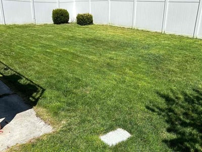 Lawn Care service in Lehi, 84043