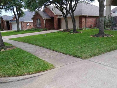 Lawn Care service in League City, 77573