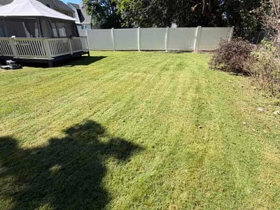 Lawn Care service in Waterbury, 06710