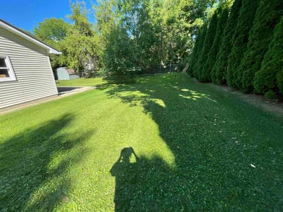 Lawn Care service in Eaton Rapids, 48827