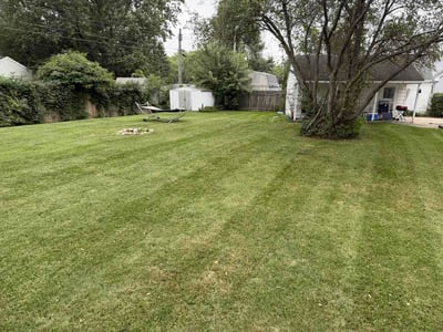 Lawn Care service in Eaton Rapids, 48827