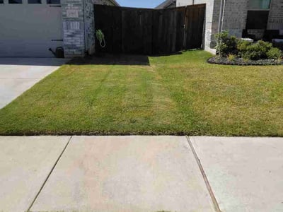 Lawn Care service in Saginaw, 76179