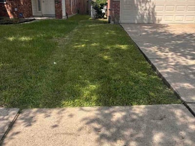 Lawn Care service in Kingwood, 77339